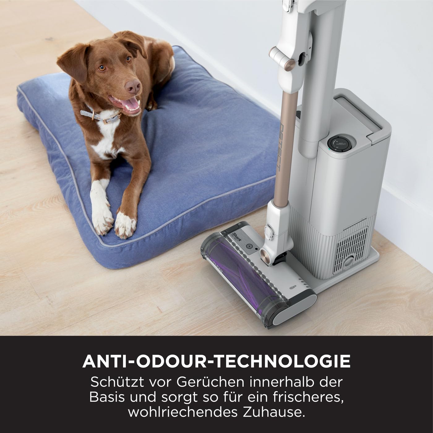 Shark Detect Clean & Empty Akku-Staubsauger, DirtDetect, 60 Min Laufzeit, 2L Selbstleer-Basis, Anti Hair Wrap, Weiß IW3612EU